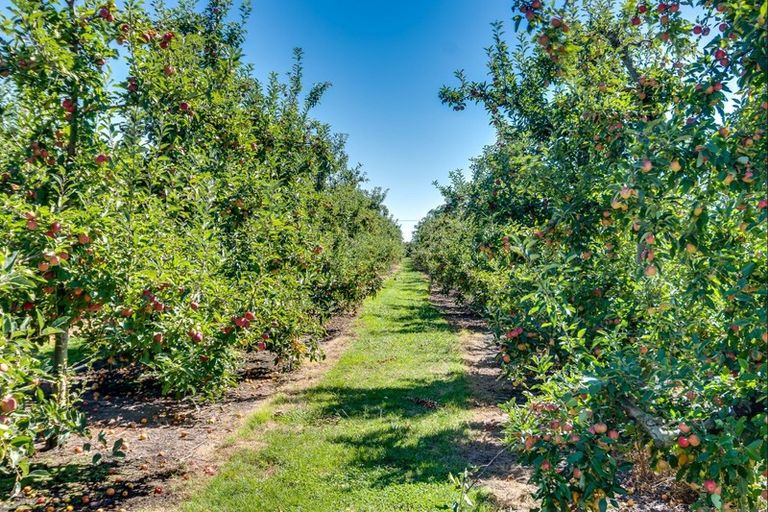 Photo of property in 1400 Railway Road South, Longlands, Hastings, 4178