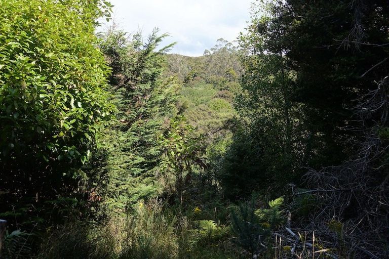 Photo of property in 9 Kowhai Lane, Halfmoon Bay / Oban, Stewart Island, 9818