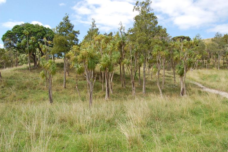 Photo of property in 135 Phillips Road, Kaiwaka, 0573