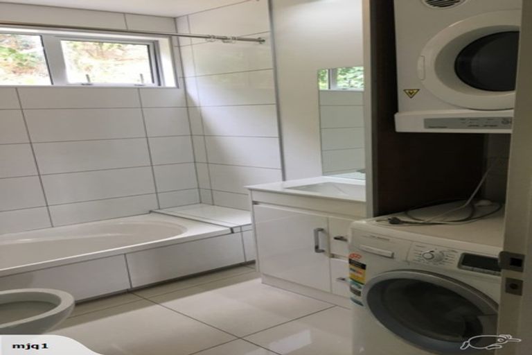 Photo of property in 3a Anderson Terrace, Mount Cook, Wellington, 6021