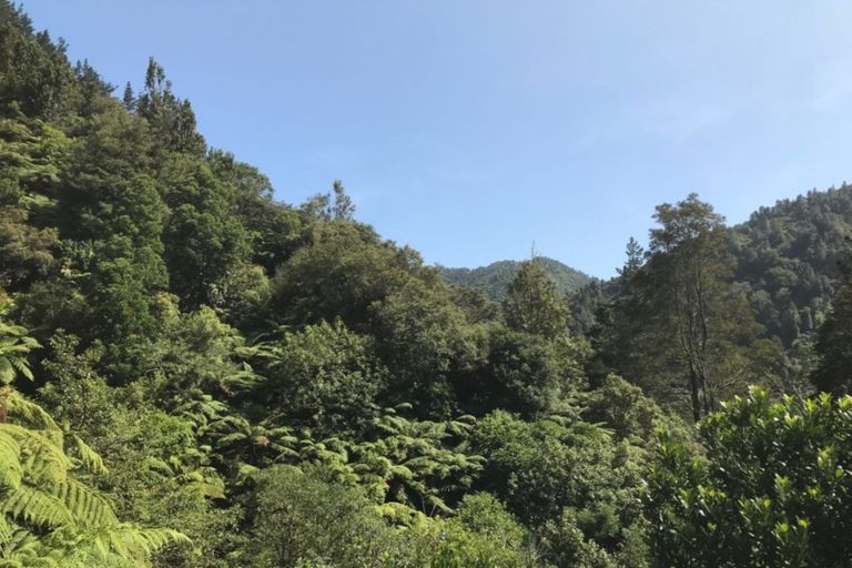 Photo of property in 570 Tutaetoko Road, Toatoa, Opotiki, 3197