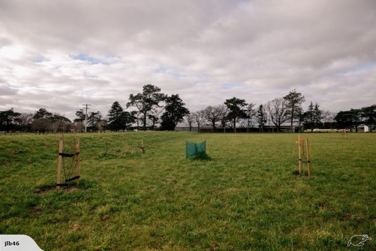 Photo of property in 19 Showground Place, Leeston, 7632