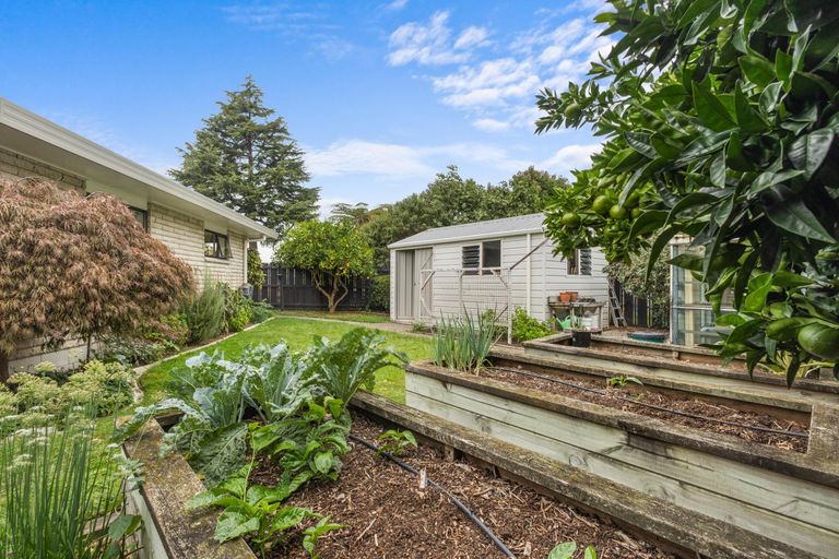 Photo of property in 11 Conrad Place, Leamington, Cambridge, 3432