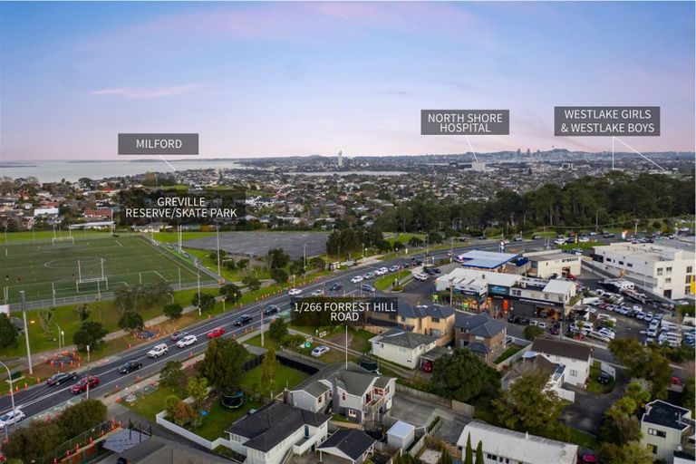 Photo of property in 1/266 Forrest Hill Road, Forrest Hill, Auckland, 0620