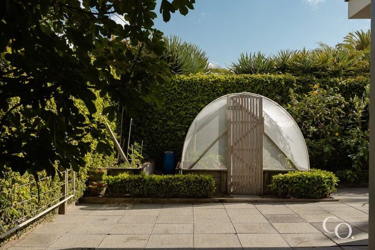 Photo of property in 72b Muricata Avenue, Mount Maunganui, 3116