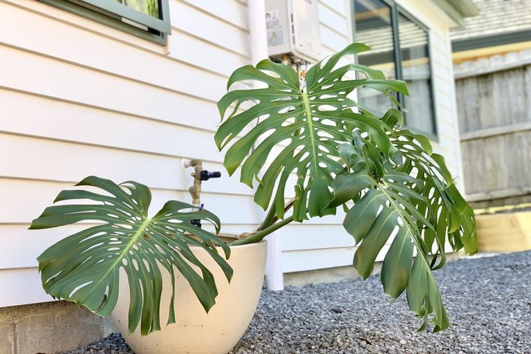 Photo of property in 11 San Ambrosio Rise, Henderson, Auckland, 0612