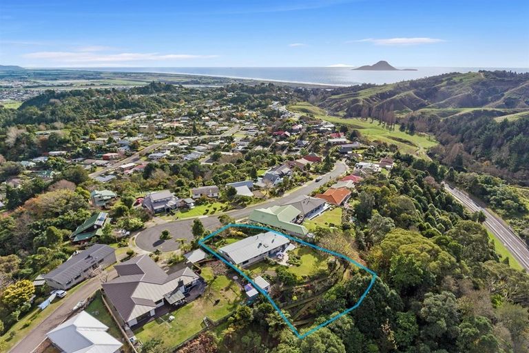 Photo of property in 51 Melville Drive, Whakatane, 3120