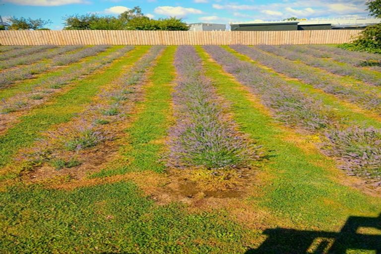 Photo of property in 169 Brotherhood Road, Kihikihi, Te Awamutu, 3875