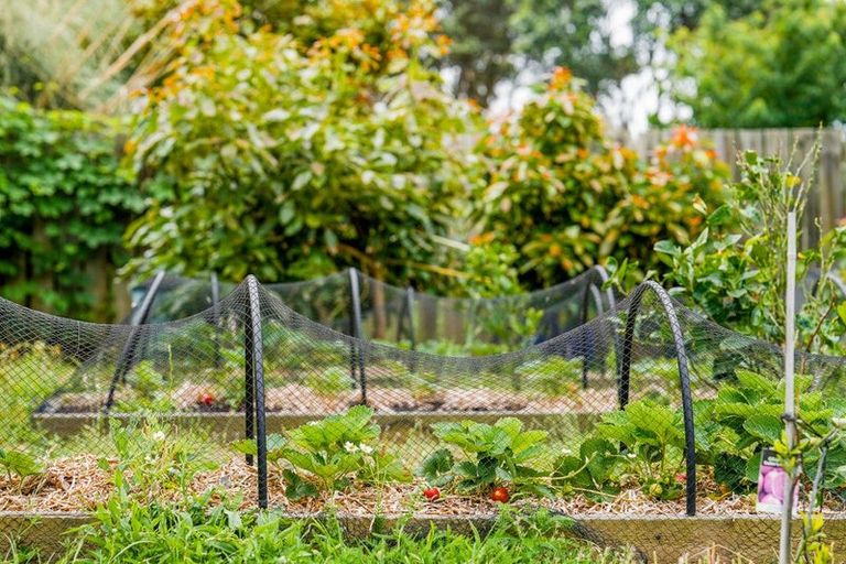 Photo of property in 24 Rodney Avenue, Te Horo Beach, Otaki, 5581