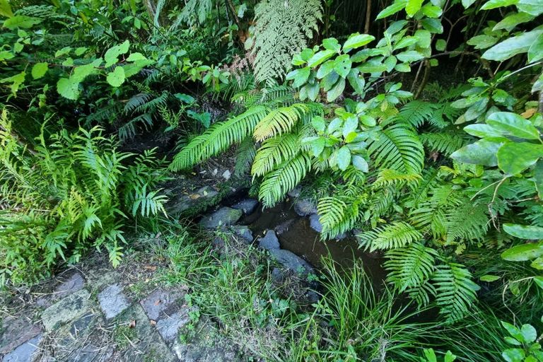 Photo of property in 3454 State Highway 6, Barrytown, Greymouth, 7873