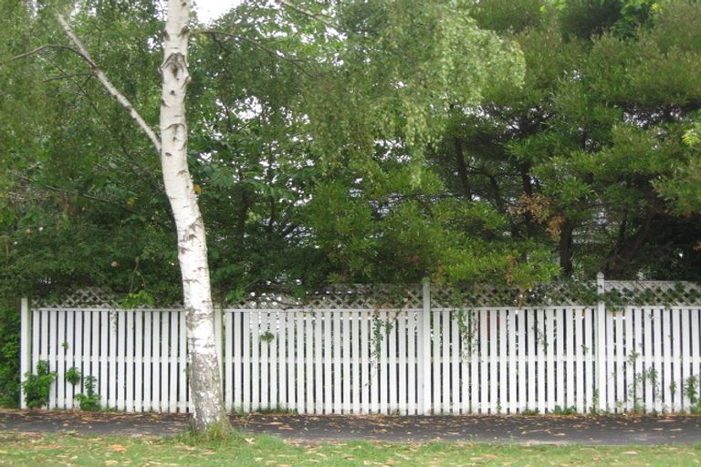 Photo of property in 47 Mathers Road, Hoon Hay, Christchurch, 8025