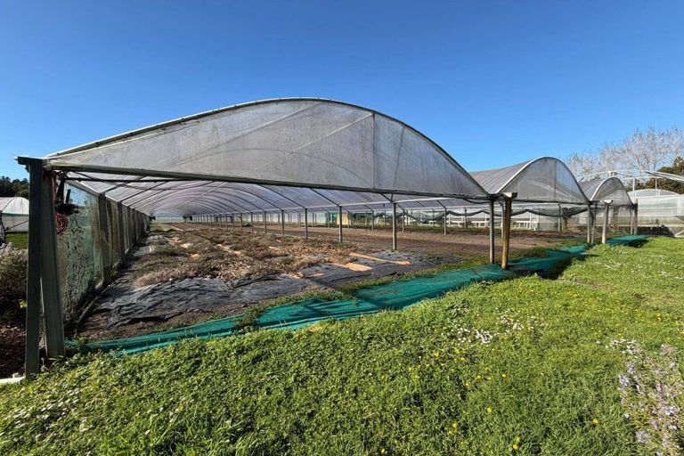 Photo of property in 18 Brigham Creek Road, Whenuapai, Auckland, 0618