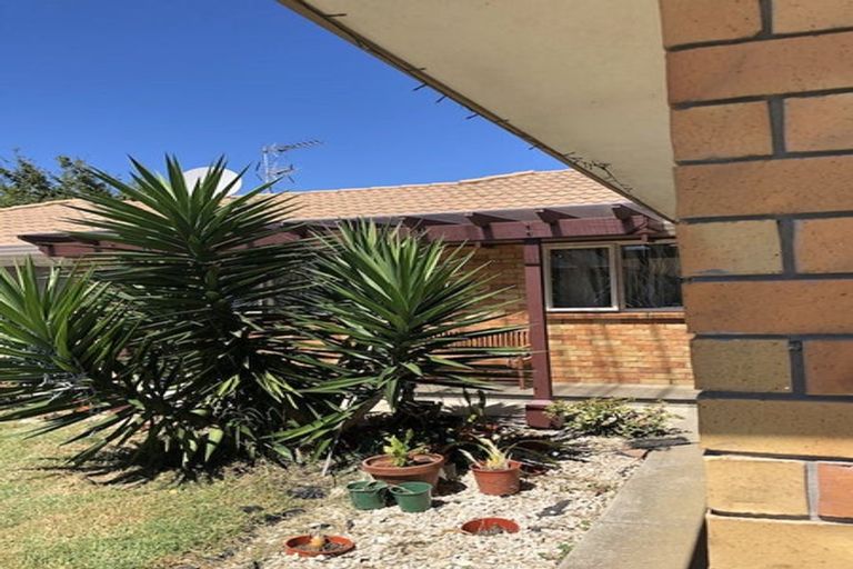 Photo of property in 17 Tilberg Street, Favona, Auckland, 2024