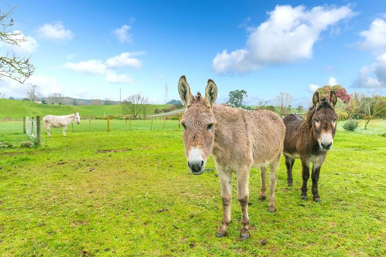 Photo of property in 983 Oreipunga Road, Maungatautari, Cambridge, 3494