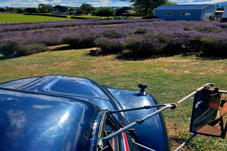 Photo of property in 169 Brotherhood Road, Kihikihi, Te Awamutu, 3875