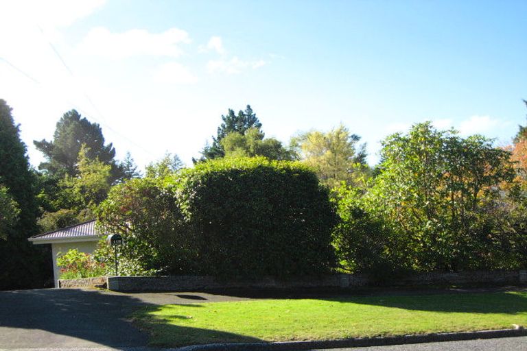 Photo of property in 113 Balmacewen Road, Wakari, Dunedin, 9010