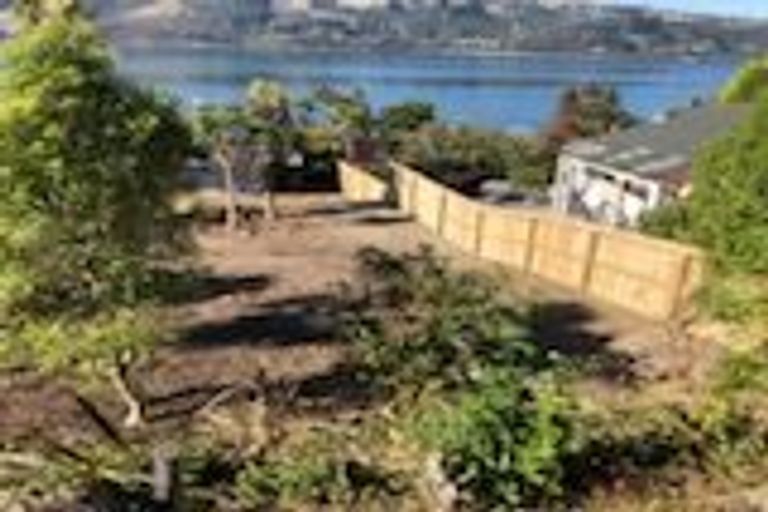 Photo of property in 20a Adderley Terrace, Ravensbourne, Dunedin, 9022