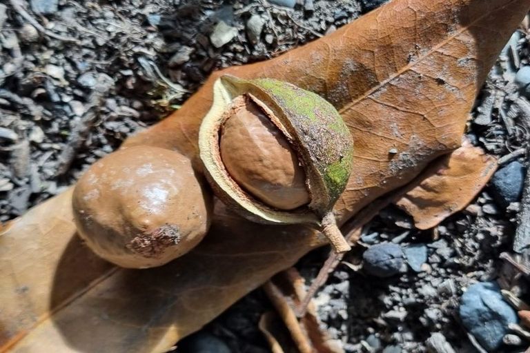 Photo of property in 143 Torquay Street, Kaikoura, 7300