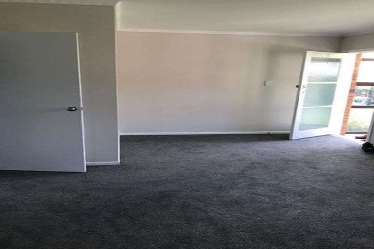 Photo of property in 24 Ireland Road, Mount Wellington, Auckland, 1060