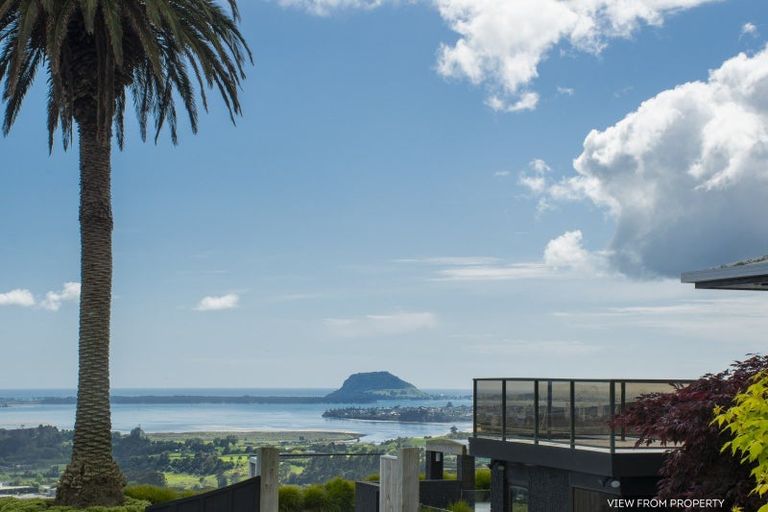 Photo of property in 225a Minden Road, Minden, Tauranga, 3176