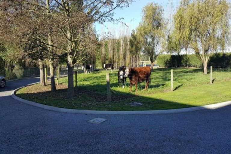 Photo of property in 533 Lower Sefton Road, Sefton, Rangiora, 7477