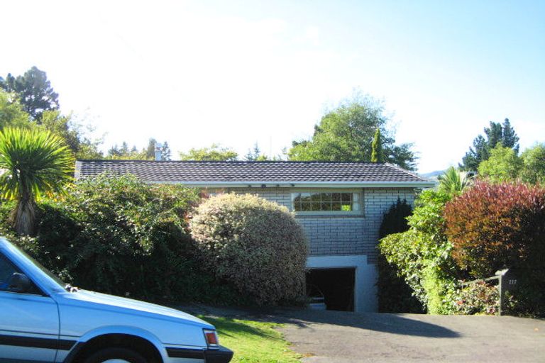 Photo of property in 117 Balmacewen Road, Wakari, Dunedin, 9010