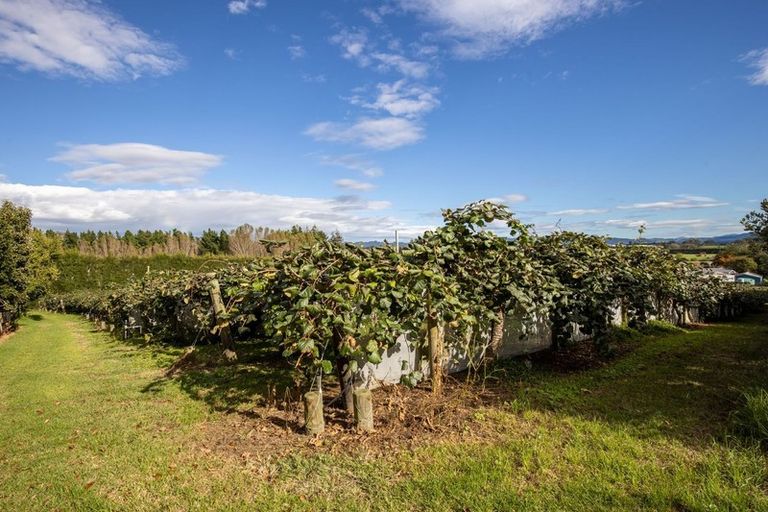 Photo of property in 39 Prole Road, Omokoroa, Tauranga, 3172