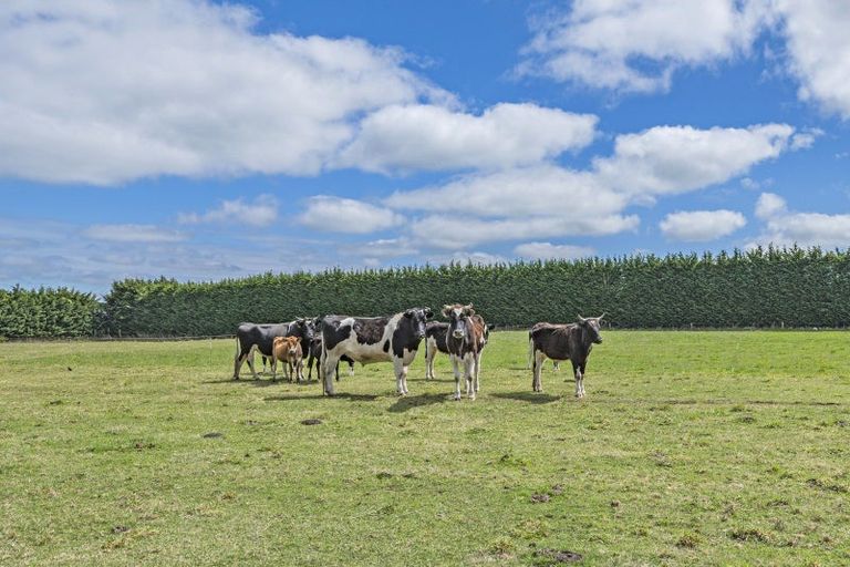 Photo of property in 2924 North Rakaia Road, Bankside, 7783