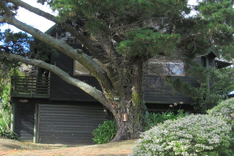 Photo of property in 1 Mountain Vista Place, Pauanui, Hikuai, 3579