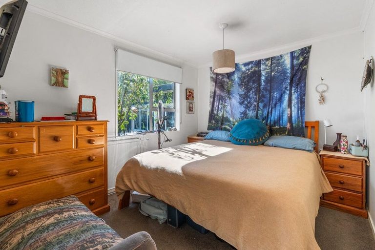 Photo of property in 55 Shag Point Road, Shag Point, Palmerston, 9482