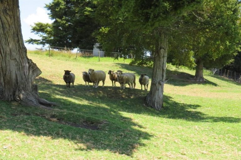 Photo of property in 18 Omarae Road, Pahi, Paparoa, 0571