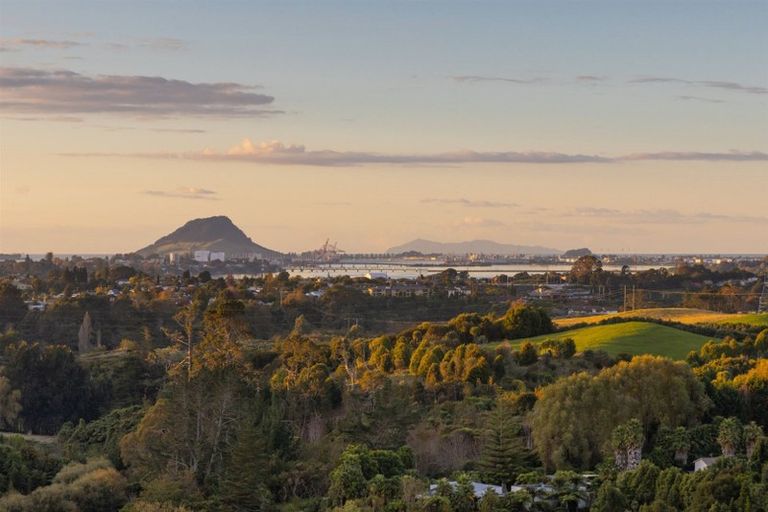 Photo of property in 10 Taranui Place, Ohauiti, Tauranga, 3112