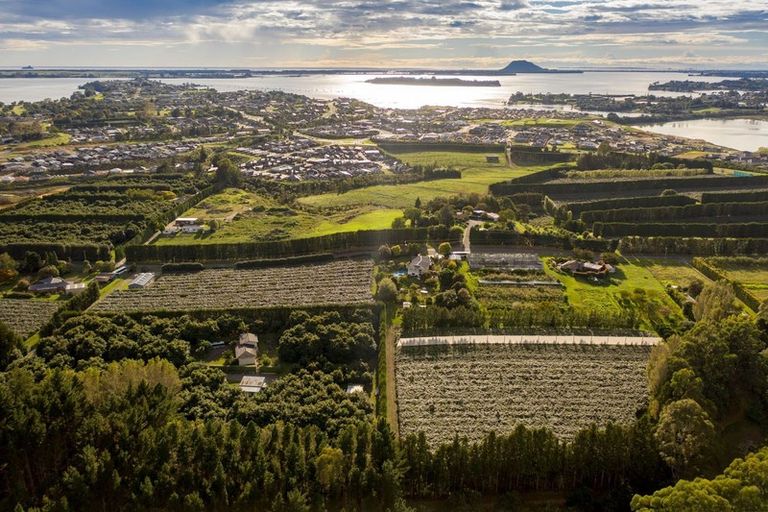 Photo of property in 39 Prole Road, Omokoroa, Tauranga, 3172