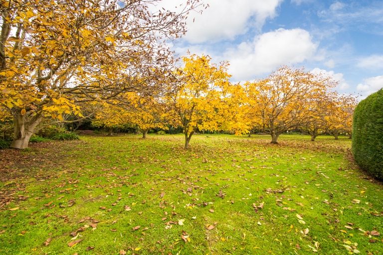 Photo of property in 107 Te Matai Road, Whakarongo, Palmerston North, 4470