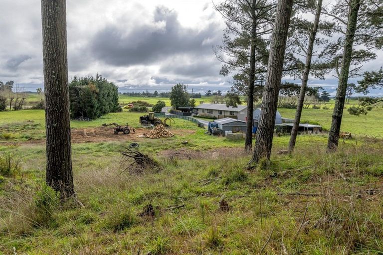 Photo of property in 500 Foxton Shannon Road, Foxton, 4893