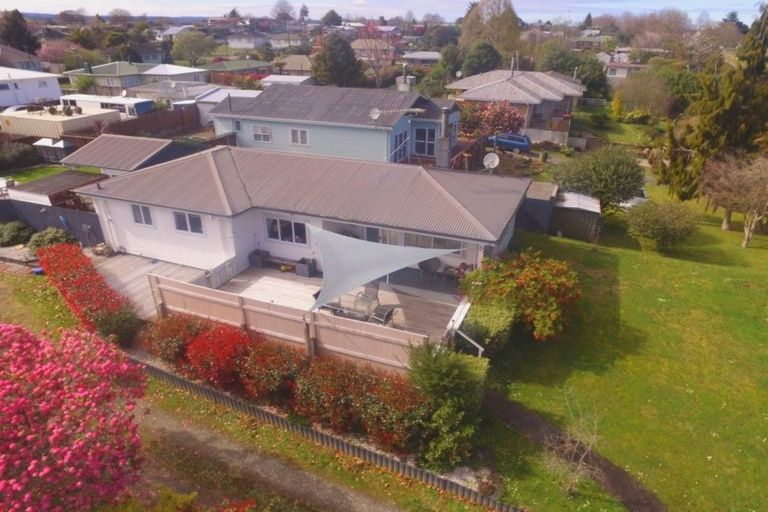 Photo of property in 113 Buckland Street, Putaruru, 3411