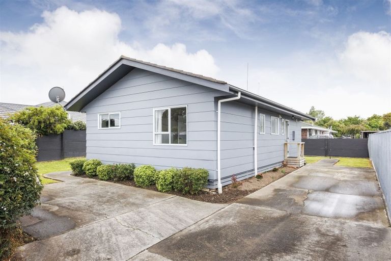 Photo of property in 113c Denbigh Street, Feilding, 4702