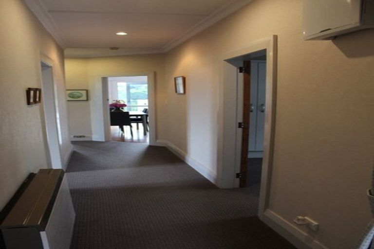 Photo of property in 113 Signal Hill Road, Opoho, Dunedin, 9010