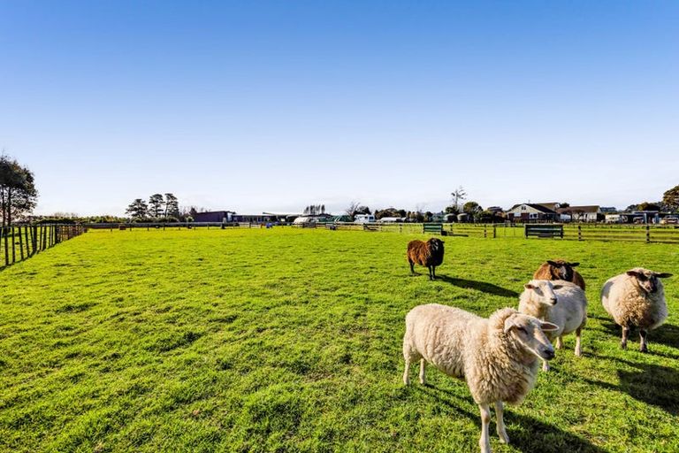 Photo of property in 280 Austin Road, Normanby, Hawera, 4673