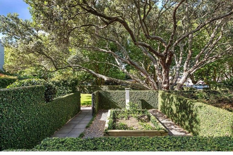 Photo of property in 12b Domain Drive, Parnell, Auckland, 1052