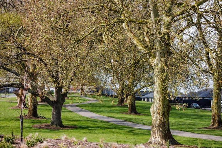 Photo of property in 3 Warren Lane, Morrinsville, 3300