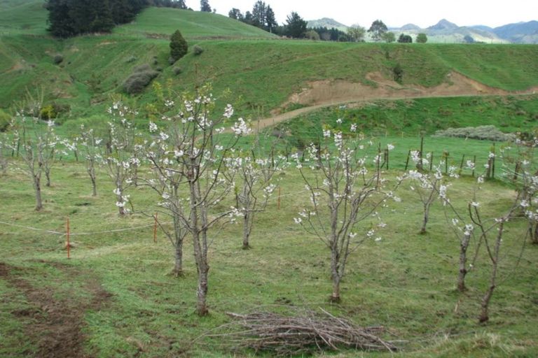 Photo of property in 4 Terrace Street, Matawai, 4075