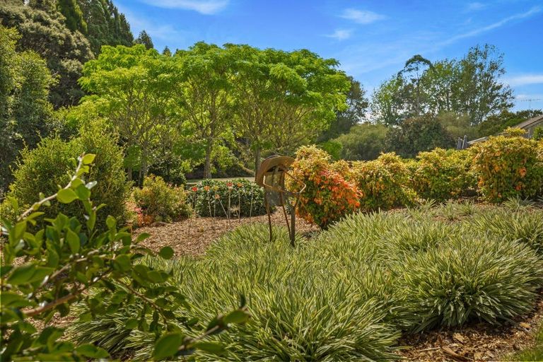 Photo of property in 60 Robinson Road, Coatesville, Albany, 0793