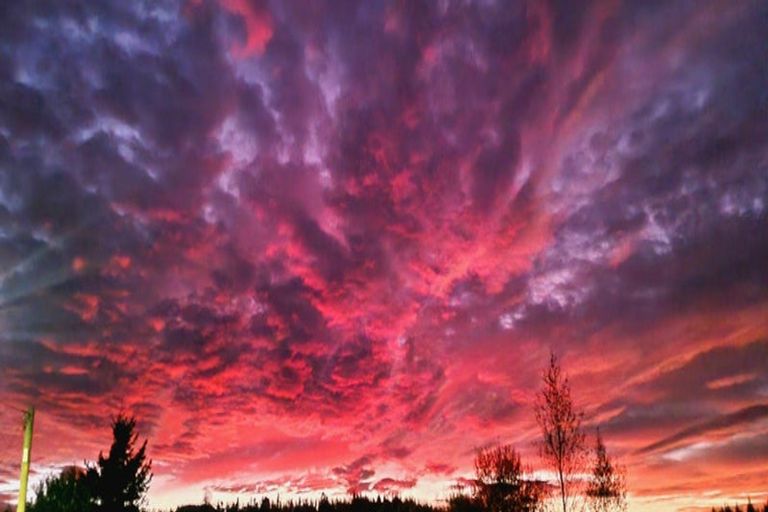 Photo of property in 33 Birchwood Road, Ohai, 9635