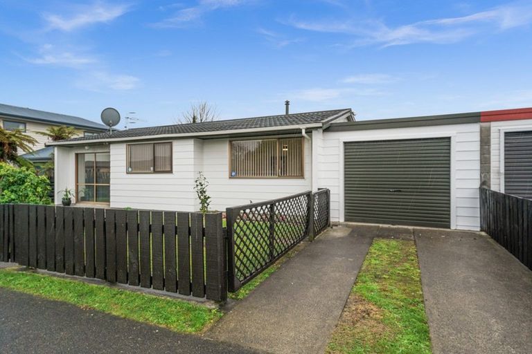 Photo of property in 3 Matipo Street, Levin, 5510