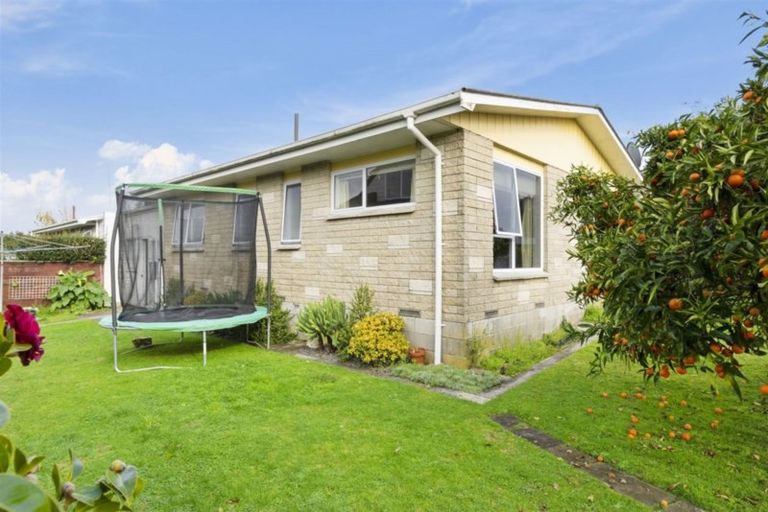 Photo of property in 24b Hall Road, Matua, Tauranga, 3110