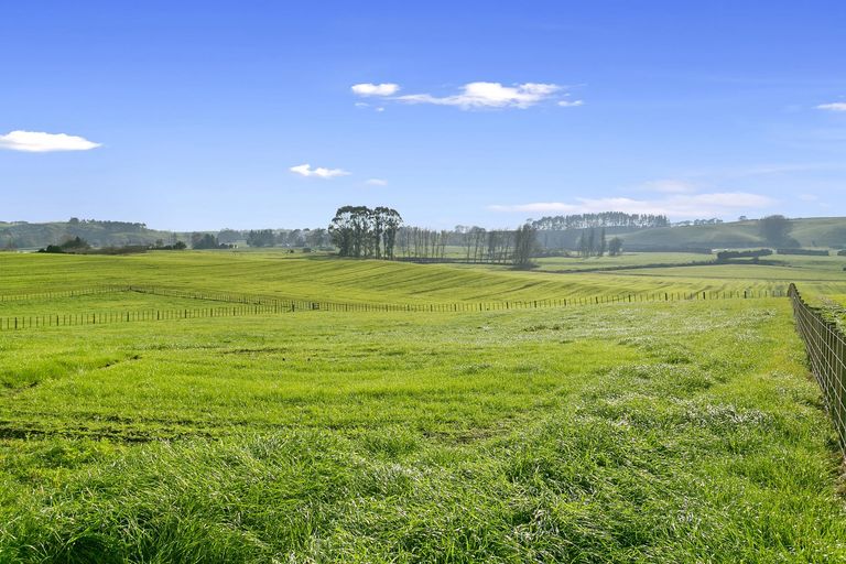 Photo of property in 163 Starkey Road, Morrinsville, 3371