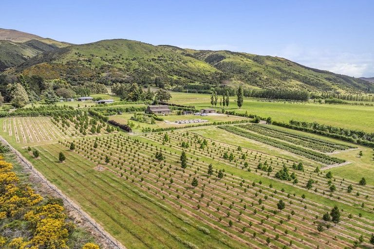 Photo of property in 42d Gladsmuir Road, Queensberry, Cromwell, 9383