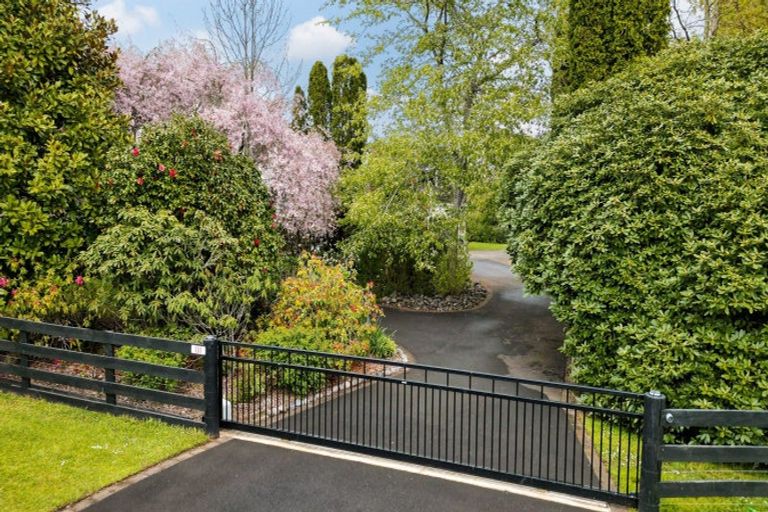 Photo of property in 181 Rosebanks Drive, Tamahere, Hamilton, 3283