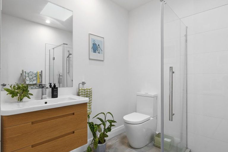 Photo of property in 86 Waipapa Road, Hataitai, Wellington, 6021